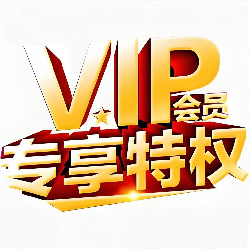 VIP全套服务